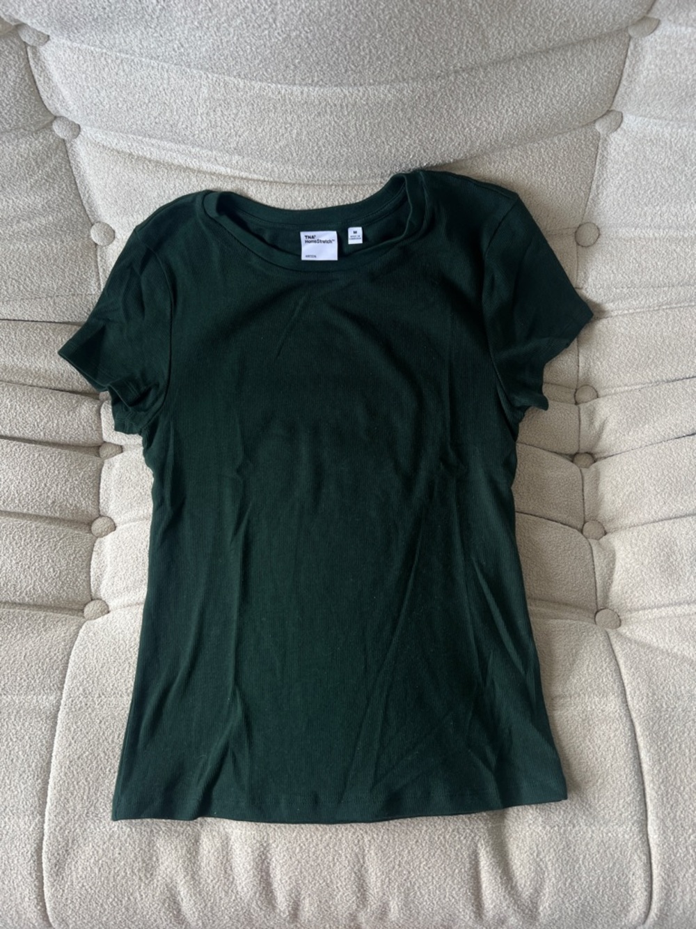 Aritzia HomeStretch™ Rib Tune T-Shirt in green